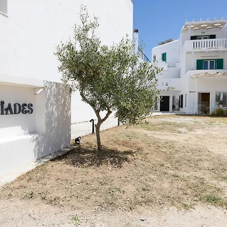 Iades & Apartment
